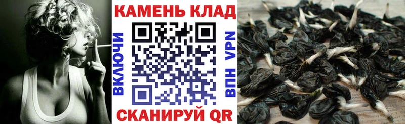 shop формула  Болотное  ГАШИШ Cannabis 