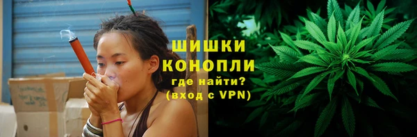 молекула духа Белоозёрский