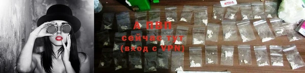 jwh Белокуриха