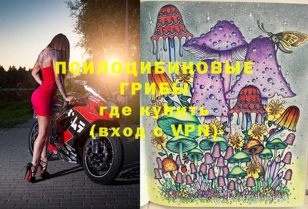 молекула духа Белоозёрский