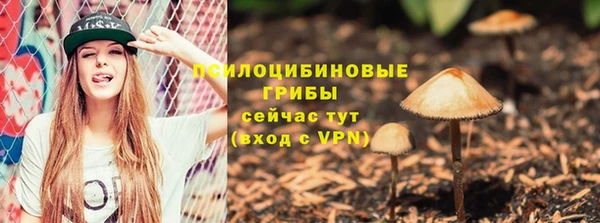 jwh Белокуриха