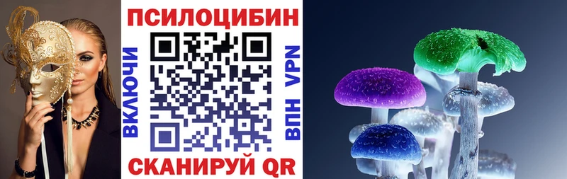 гидра как зайти  даркнет сайт  Болотное  Псилоцибиновые грибы Psilocybine cubensis 